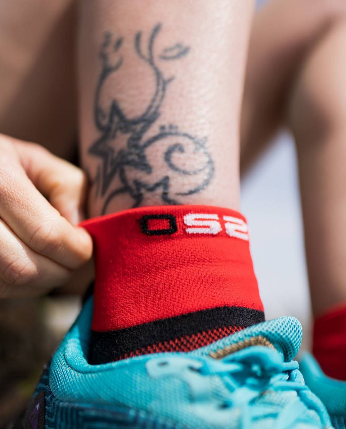 4256050